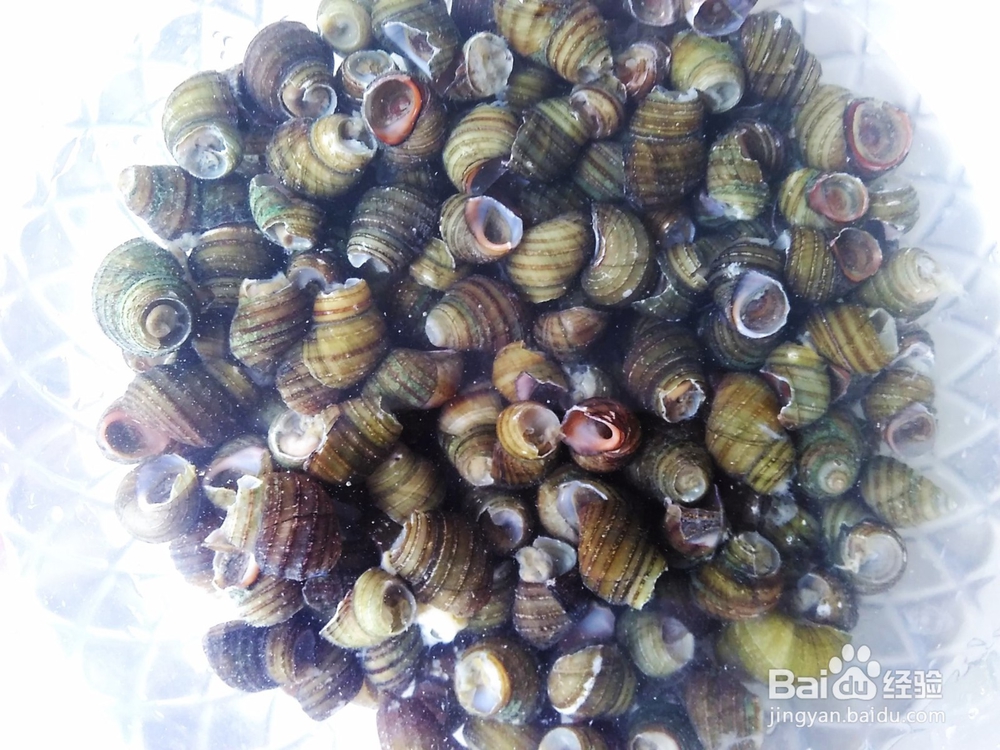 怎么样炒好吃的田螺