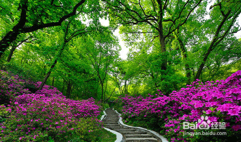 湘潭大观园自助游艺攻略