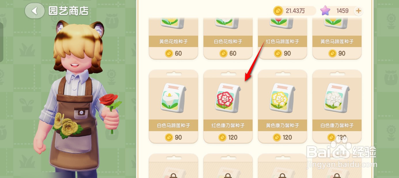 心动小镇如何购得红色康乃馨种子