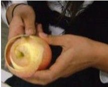 <b>怎样制作苹果祛斑面膜</b>