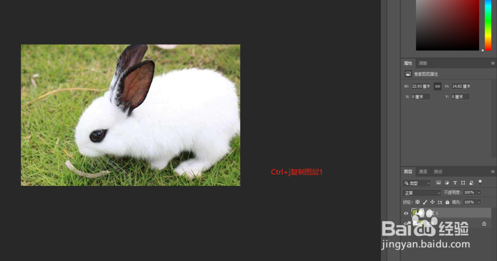 PS怎么水平旋转图片