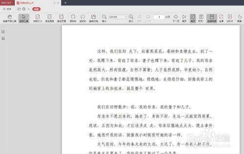 wps怎么做pdf的文件