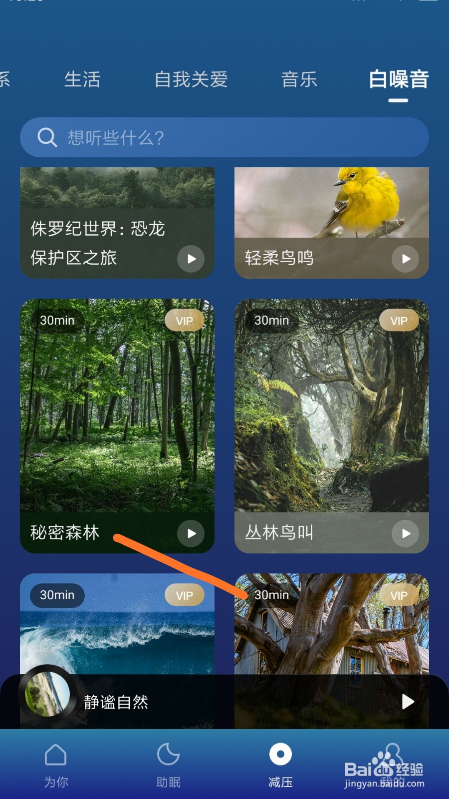Calm冥想中怎么播放秘密森林