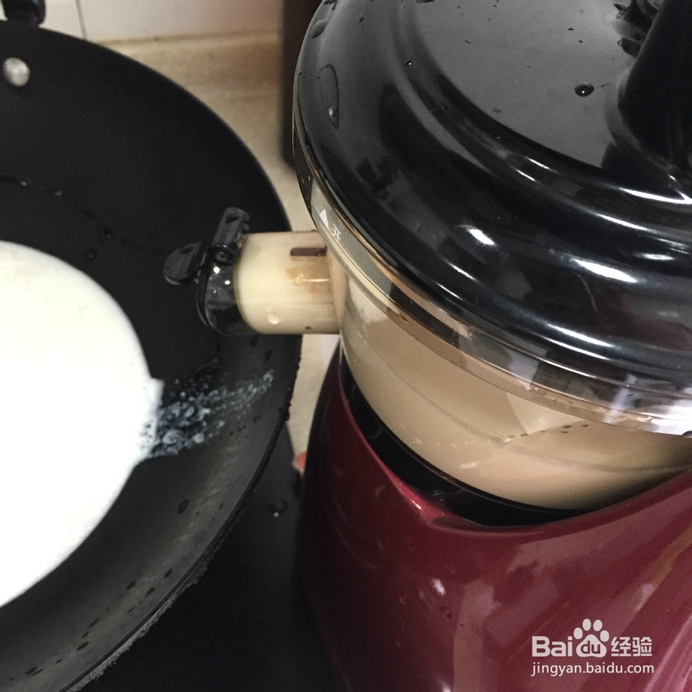 有韧性的胆水豆腐