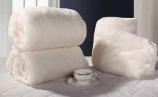 不同的被子应该怎么放菌除味?