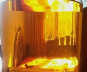 自制人参枸杞酒的成功方法