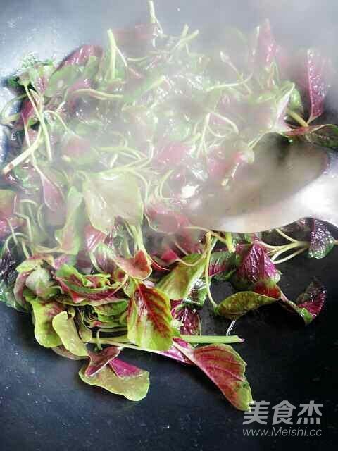 蒜蓉苋菜的做法