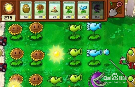 植物大战僵尸游戏攻略