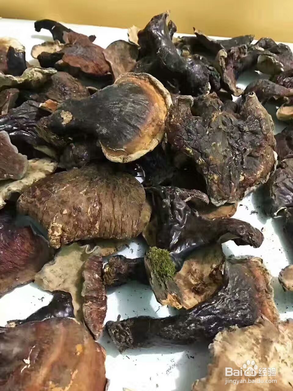 灵芝烘干机的技术特性灵芝热泵烘干机程序设定