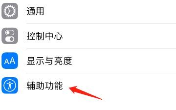 iPhone旁白盲文输出怎么设为非简写六点式盲文