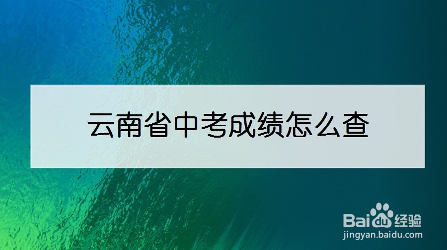 云南省中考成绩怎么查