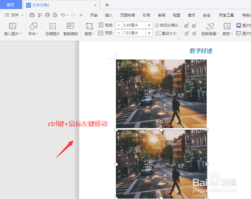 WPS文字文档中复制图片方法