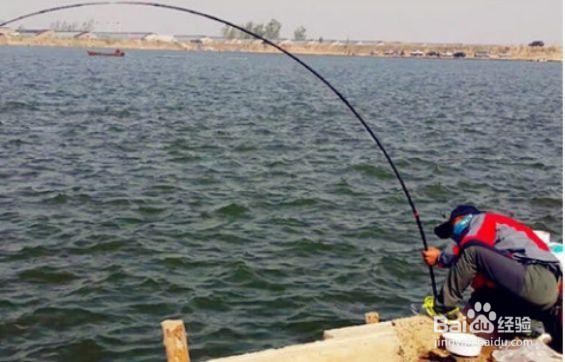 钓鱼如何溜鱼