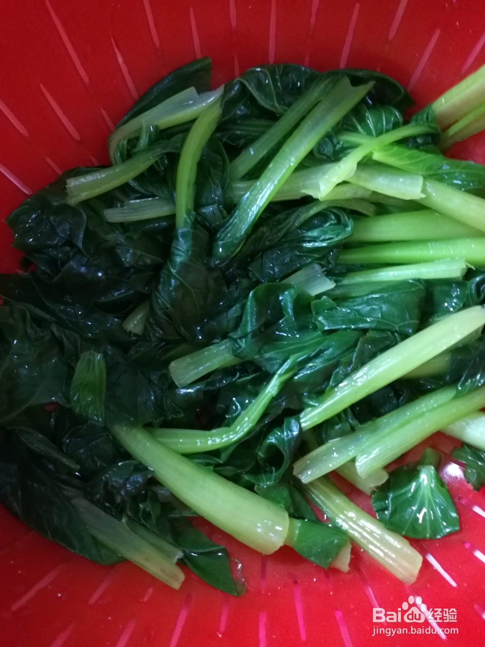 一次就会的海米炒油菜