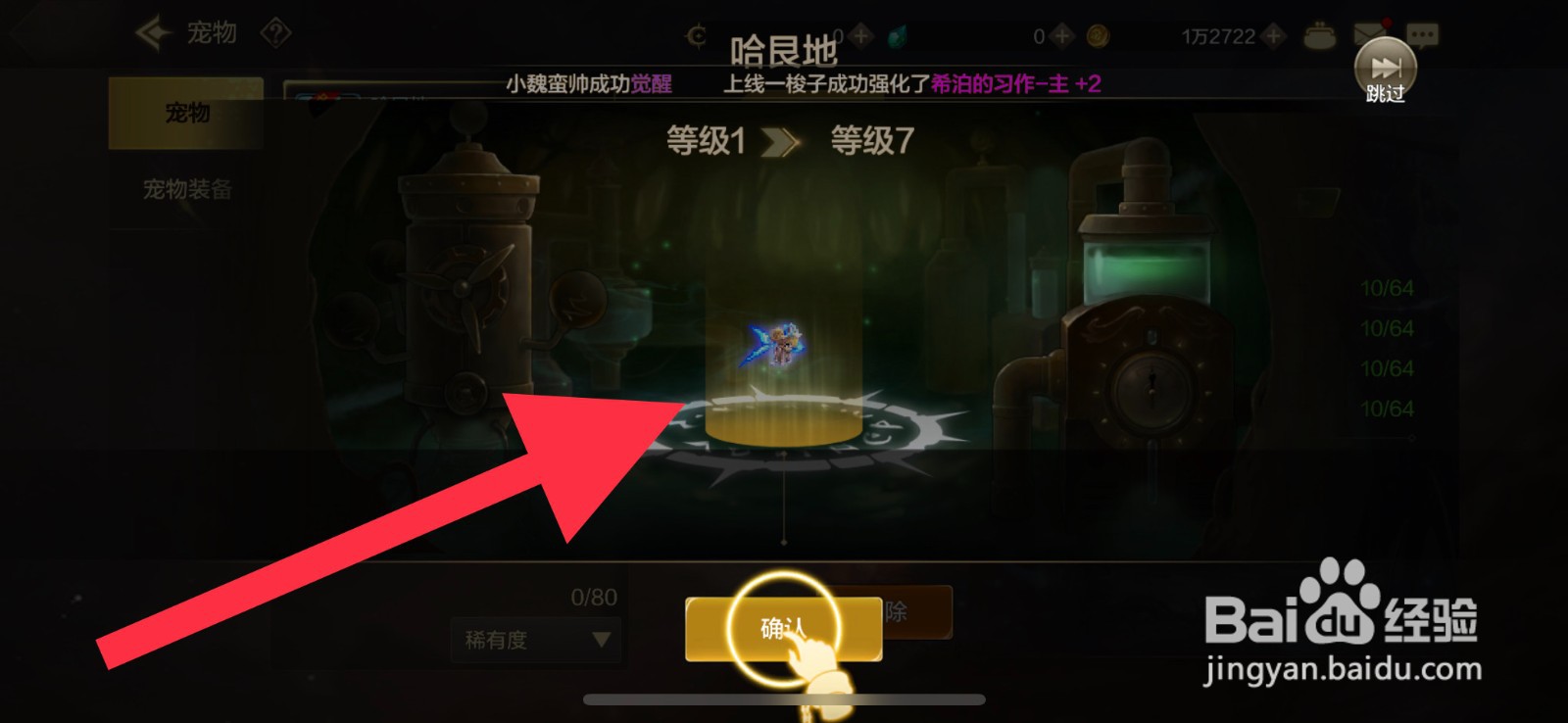DNF手游怎么升级宠物