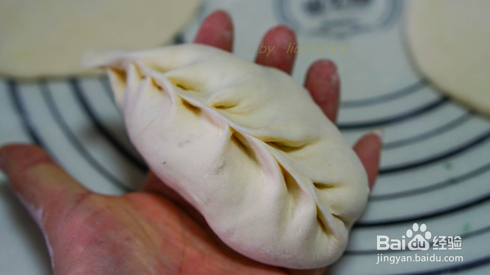 野菜鲜肉包子的做法