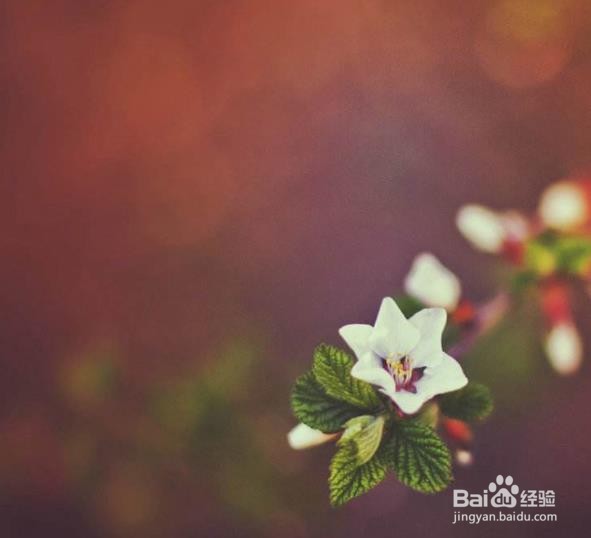 如何保持一些好的人生准则?