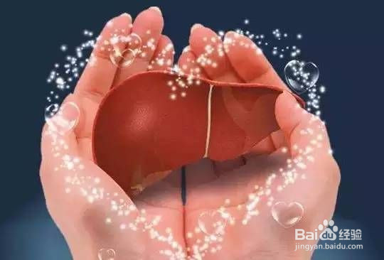 如何来保护自己的肝脏