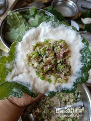伯乐叶饼的做法