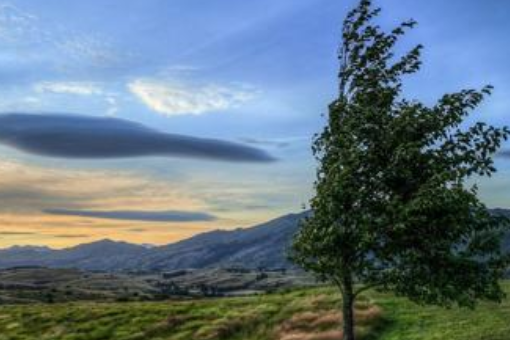 风儿吹过树梢如何仿写句子