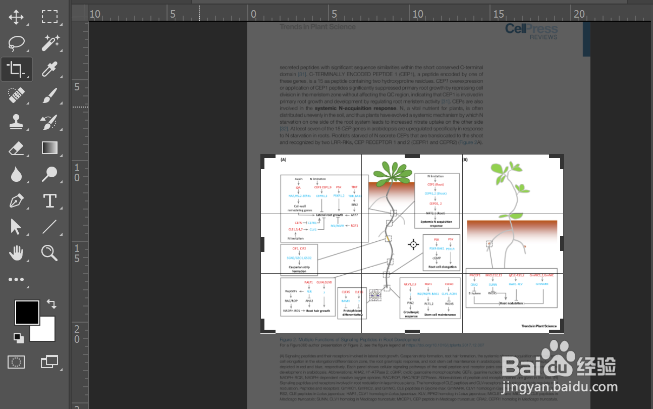 如何从pdf文件中导出高质量图片