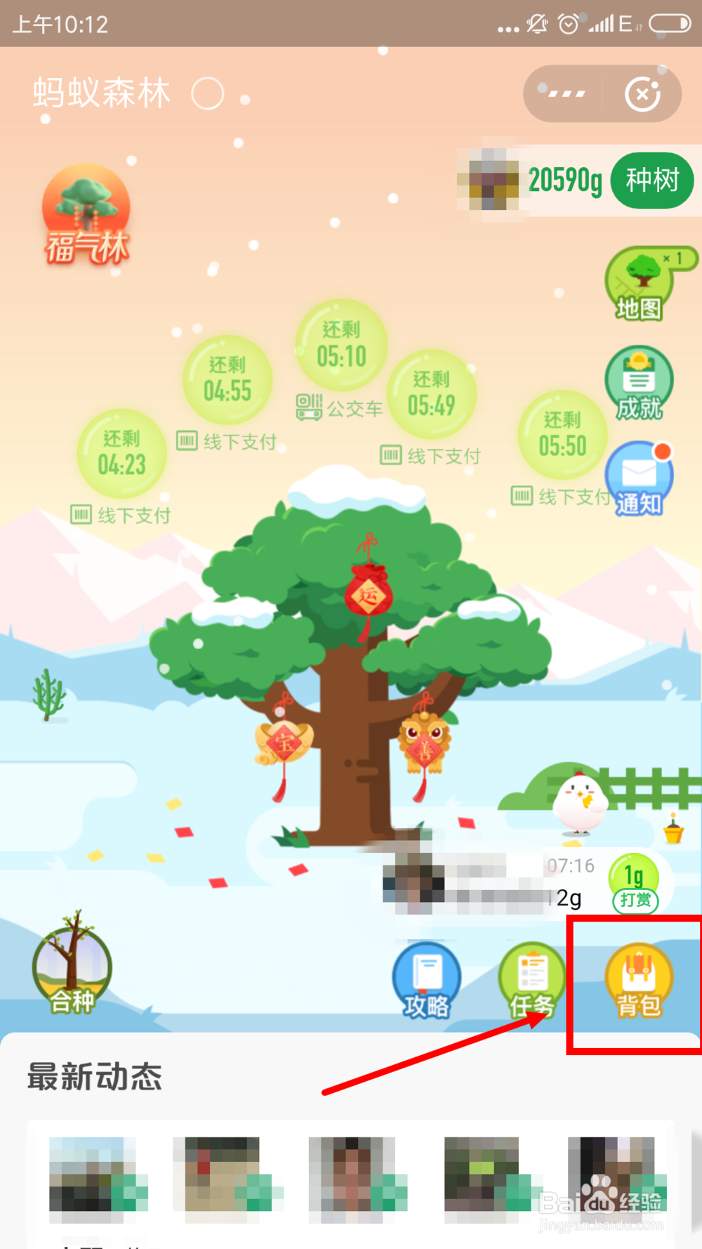 蚂蚁森林时光加速器是什么，怎么获得