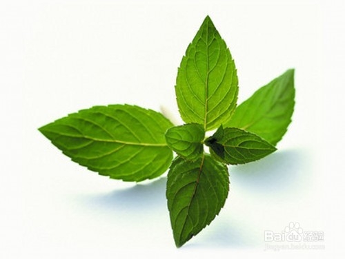 效果显著的感冒小偏方