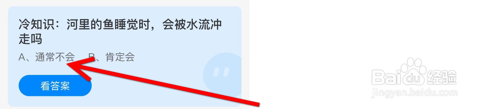蚂蚁庄园冷知识河里的鱼睡觉时会被水流冲走吗