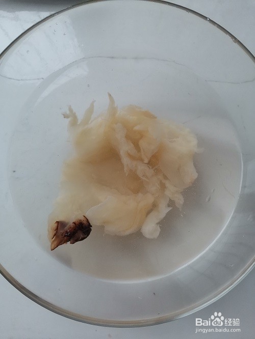 老醋五样的做法