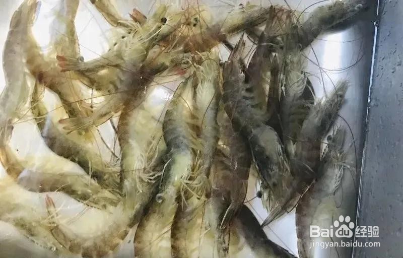 家常凉拌柠檬虾