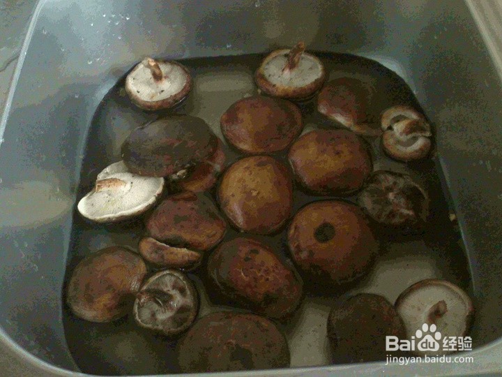 怎样省水清洗香菇