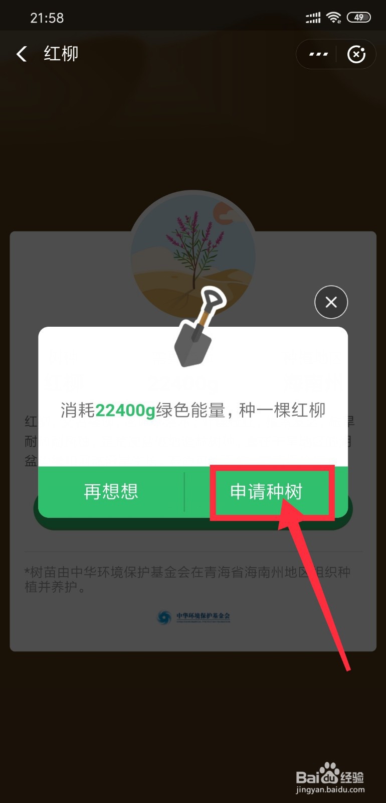 支付宝蚂蚁森林怎么申请种树