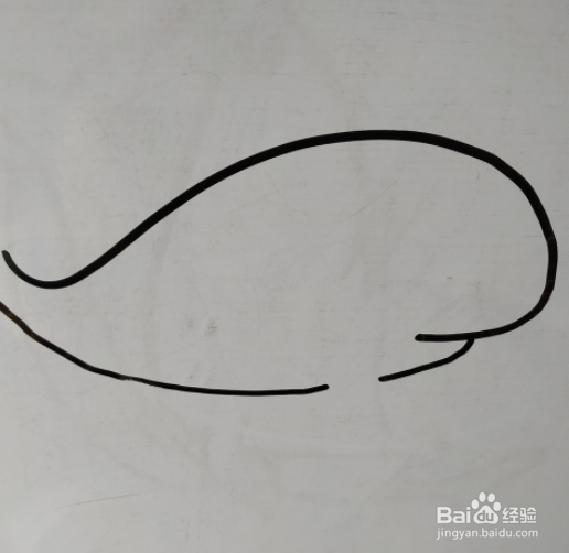 如何画鲸鱼的儿童画