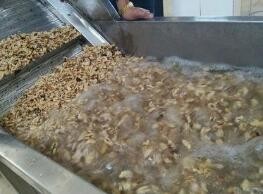 青皮核桃怎么去皮