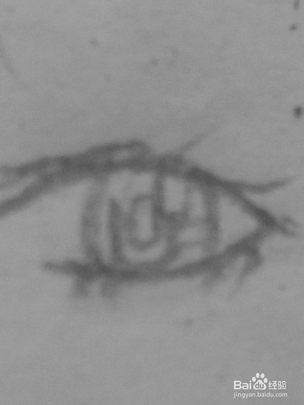 原创动漫人物的眼睛25