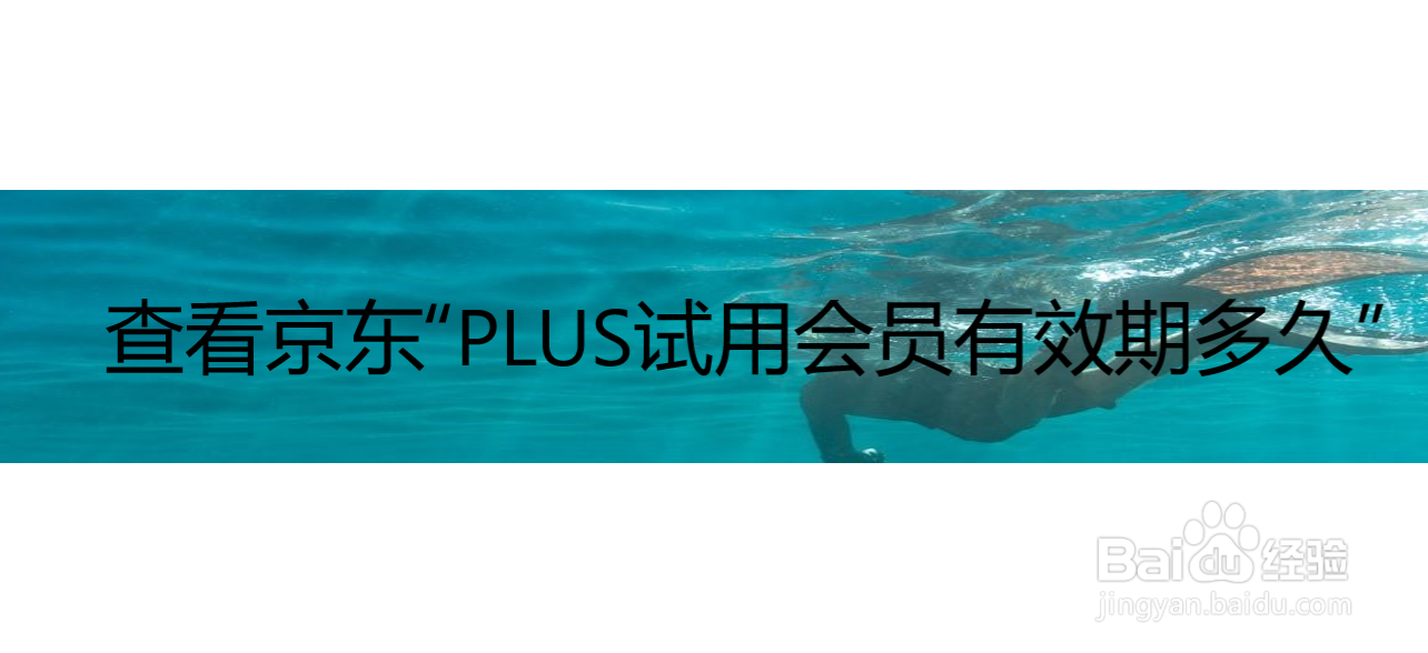 查看京东“PLUS试用会员有效期多久”