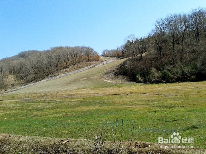 蜂蜜的几大功效,我和小伙伴们都惊呆了。