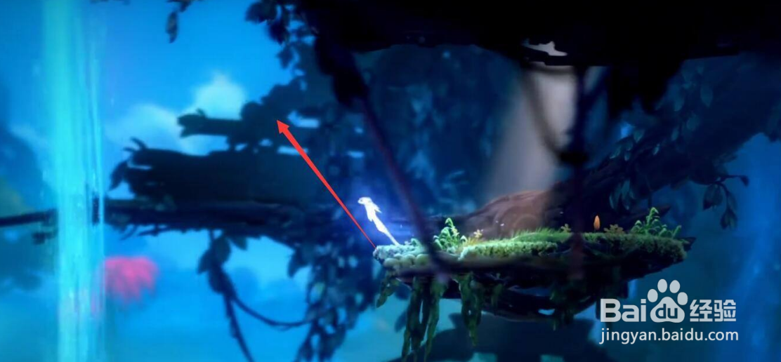 奥日2光之池怎么上去