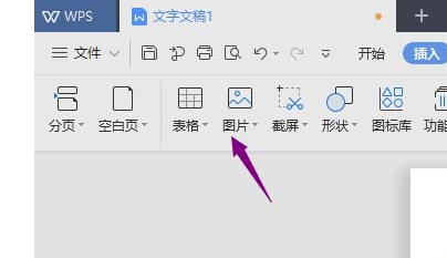 WPS图片怎么进行垂直翻转?