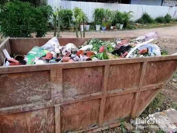 垃圾桶里一堆“贵货”花，丢人也要捡