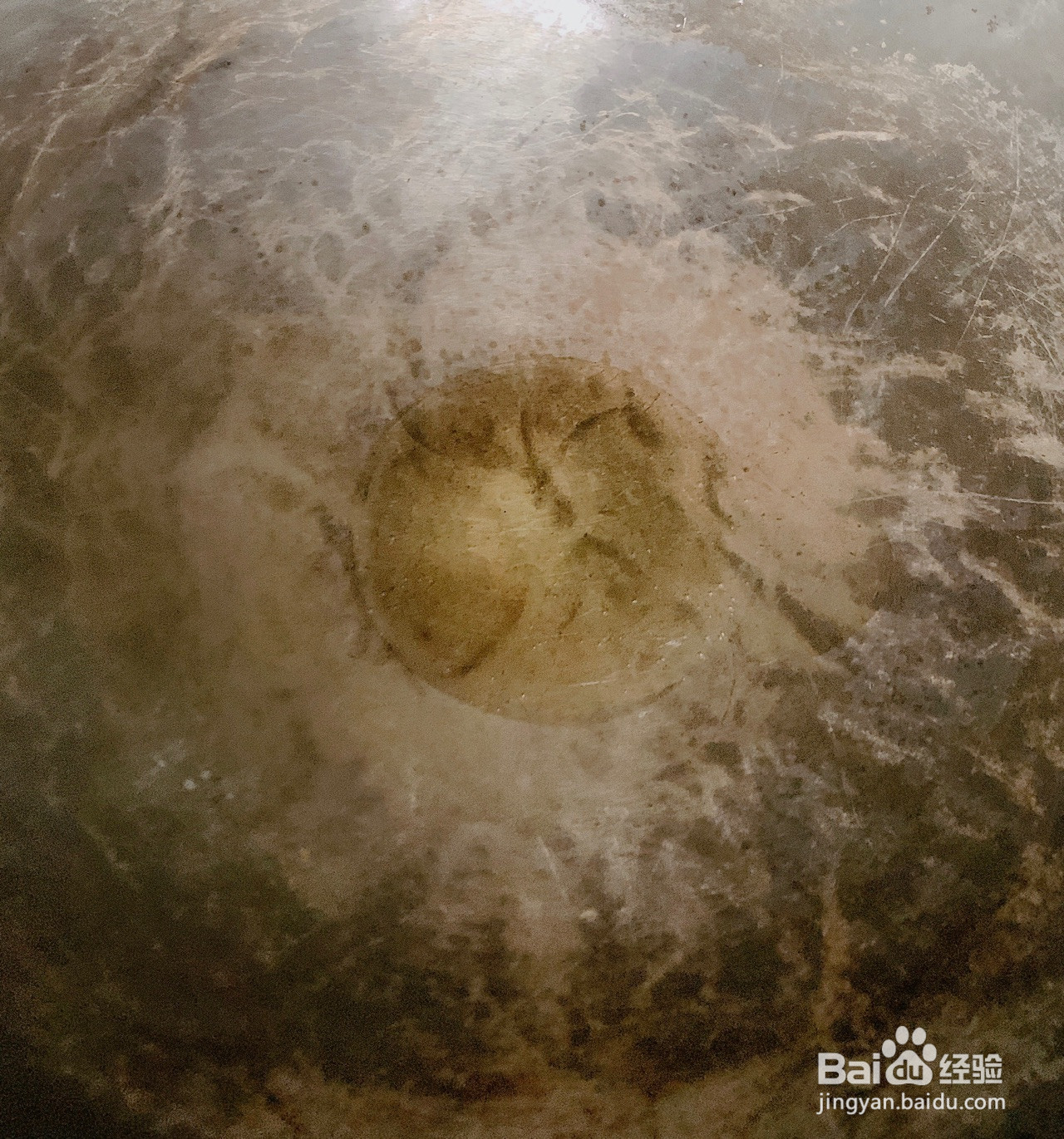 蒜蓉西兰花的做法