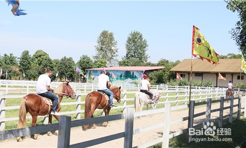 田园嘉乐比乐园攻略