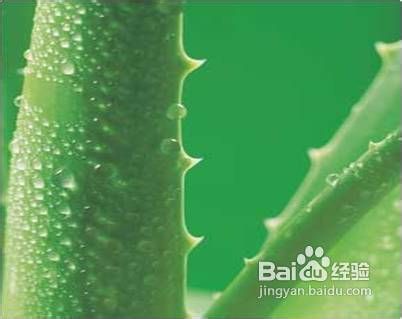 日常生活如何简单快速美白