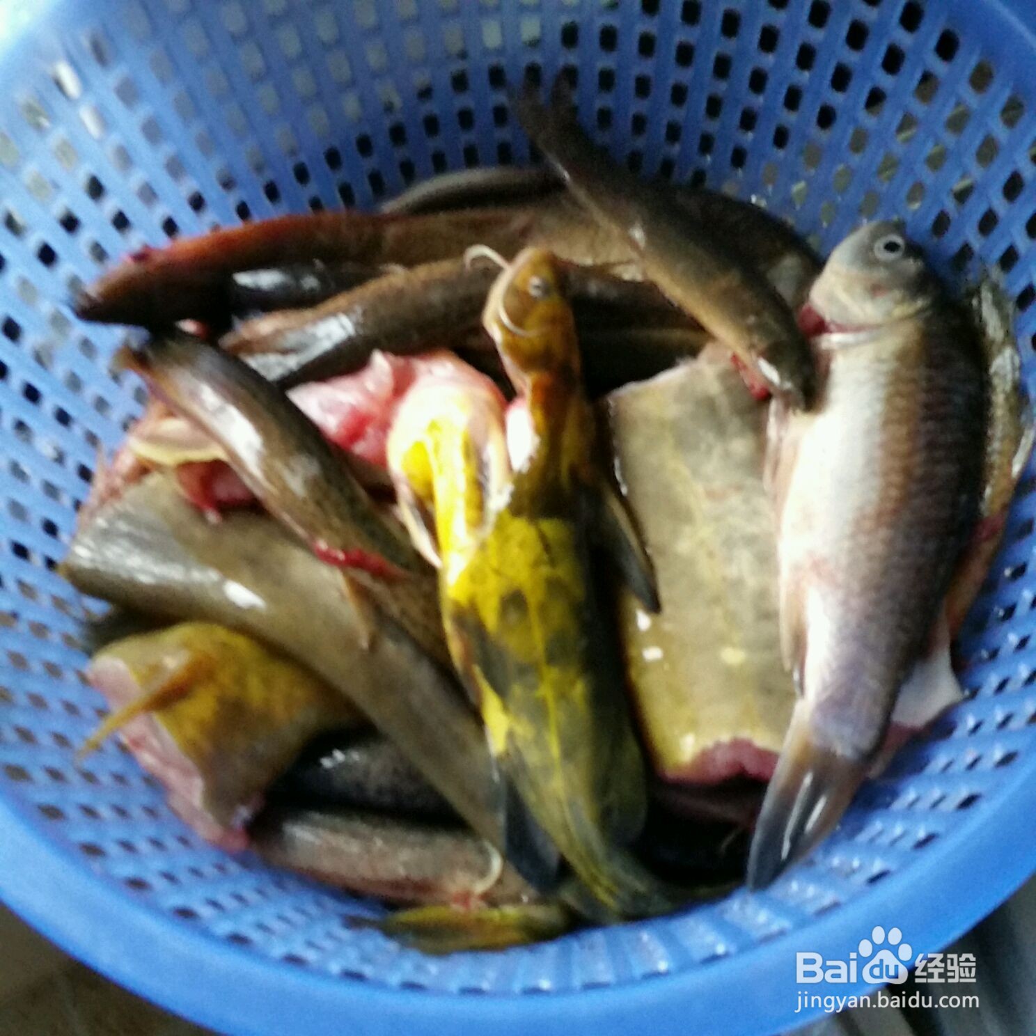 香辣杂鱼烩的做法