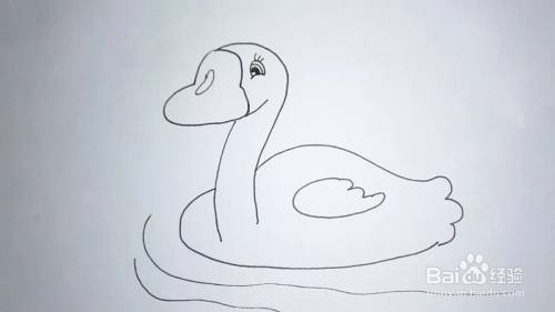 怎么画白天鹅的简笔画