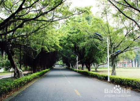 大学生如何在寝室里赚钱？