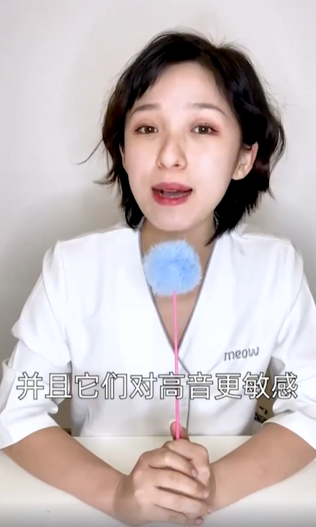 猫咪听到的世界是什么样子？