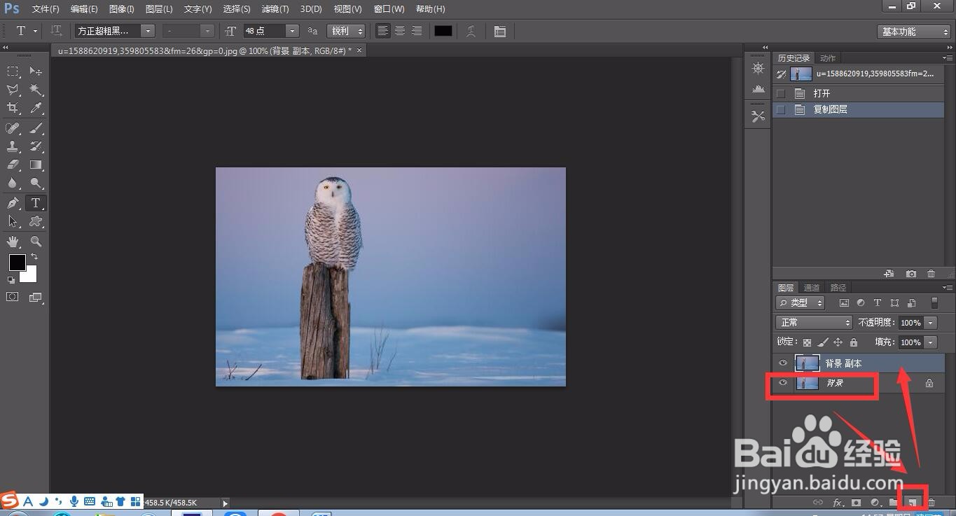 photoshop怎么用魔棒工具抠图