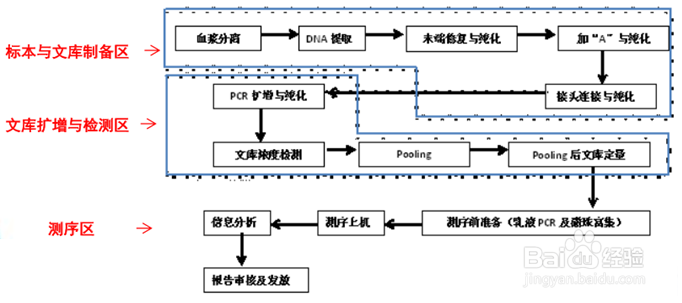 产前筛查与产前诊断实验室设计SICOLAB