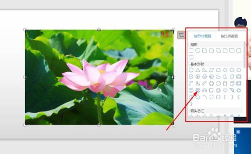PPT如何插入图片并裁剪